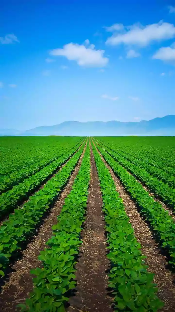 How Plant Based Electrolytes From Ag Waste Make EV Batteries Fireproof And Safe