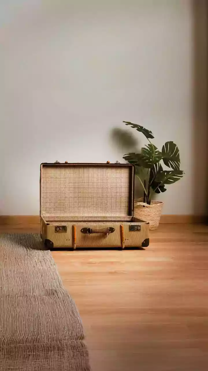 Vintage Trunk Upcycling Becomes Latest Interior Design Trend On Feeds