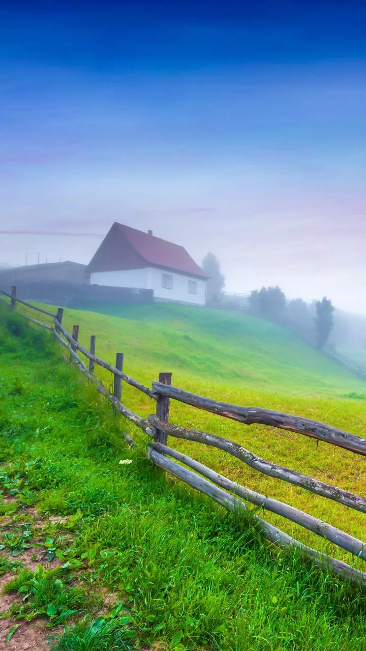 Fog-free mornings help paddy farmers work faster