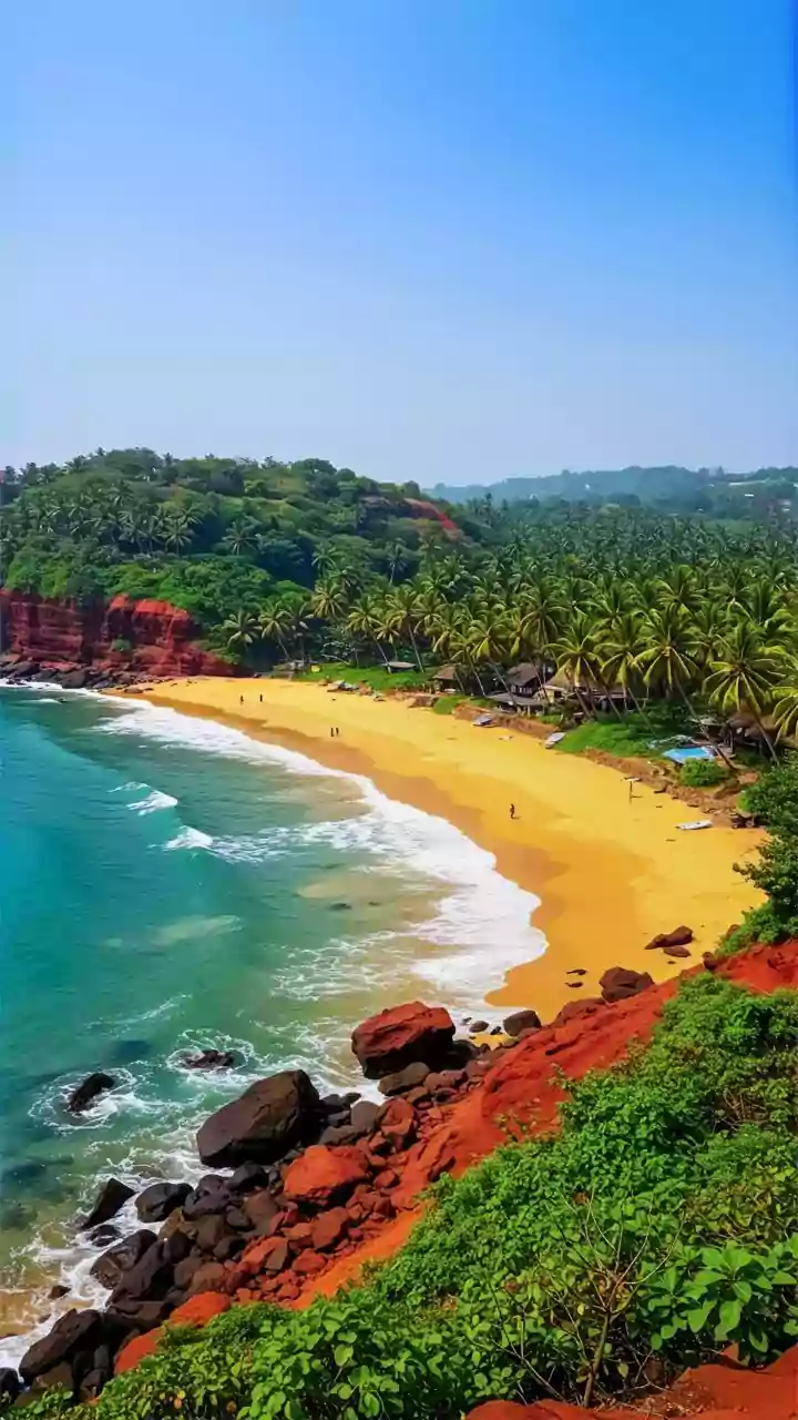 From Luxury To Lockup: Luthra Brothers Sleep On Floor, Eat Dal-Rice In Goa Police Custody