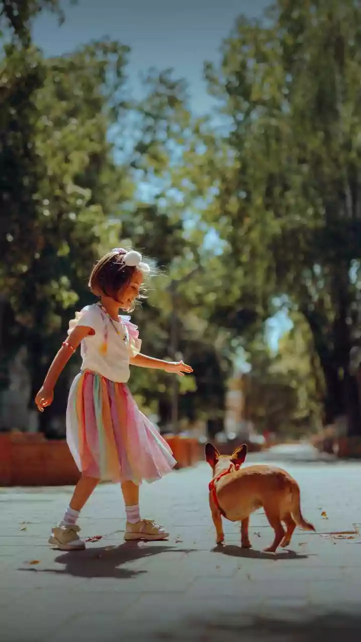 UP: 12-year-old girl mauled by stray dogs in Barabanki