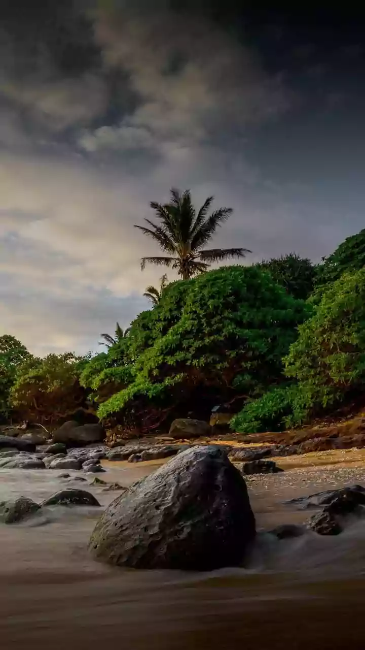South Goa Digital Nomad Hubs Lower Monthly Rates During Monsoon Months