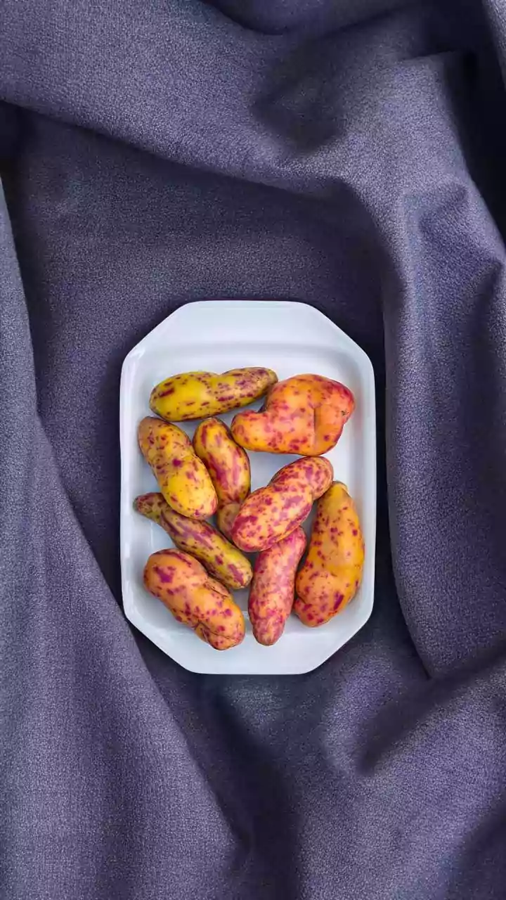 You must taste these Peruvian potato dishes