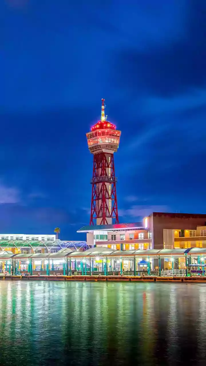 Japan Tour For Indian Travellers: IRCTC Combines Airfare, Hotels And Sightseeing