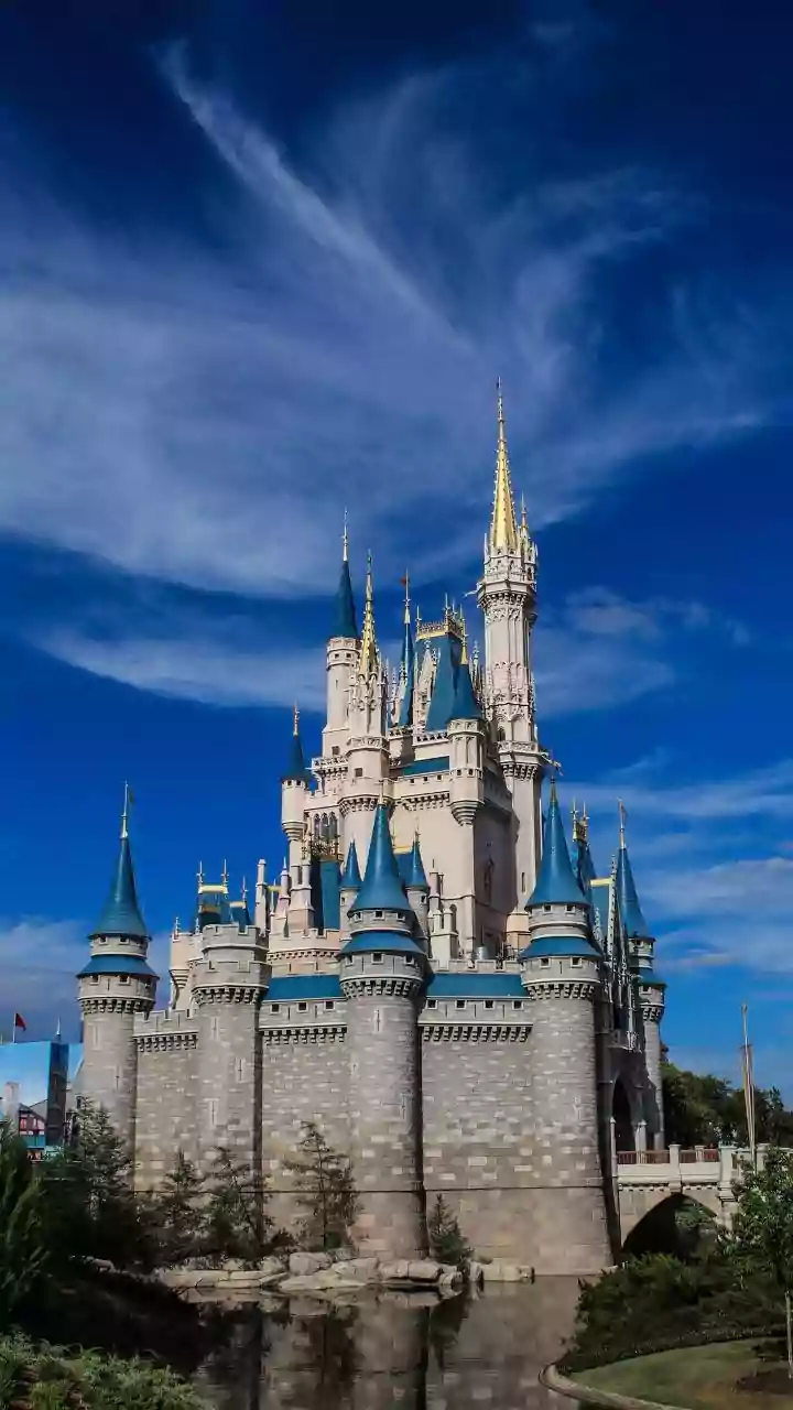 Disney Fan's Guide: Savvy Spending Amidst Rising Park Prices