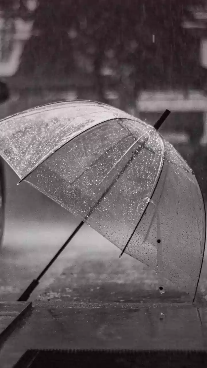 Refundable Bookings Are The Practical Rainy-Season Move