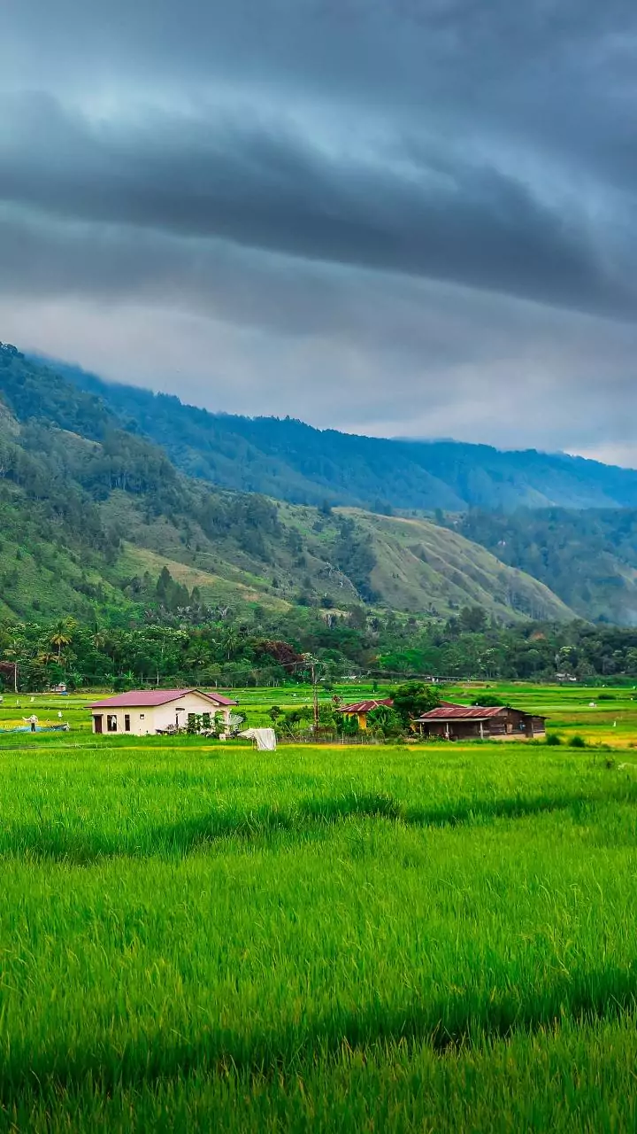 Manipur govt has repeatedly failed to ensure timely resettlement of IDPs: State Cong chief