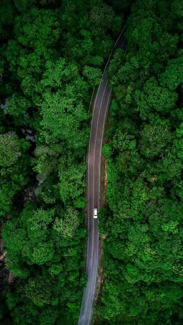 How To Experience Green Ghats On A Weekend Drive To Coorg