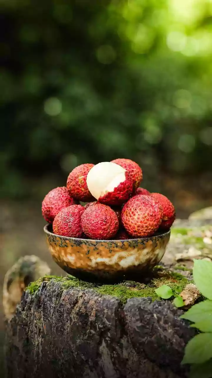 Os segredos para cultivar lichia no quintal de casa