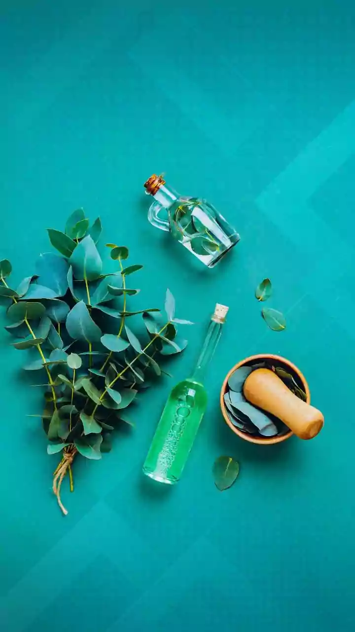 Pick your holiday favourites from Amazon’s Everyday Essentials specially curated New Year Store