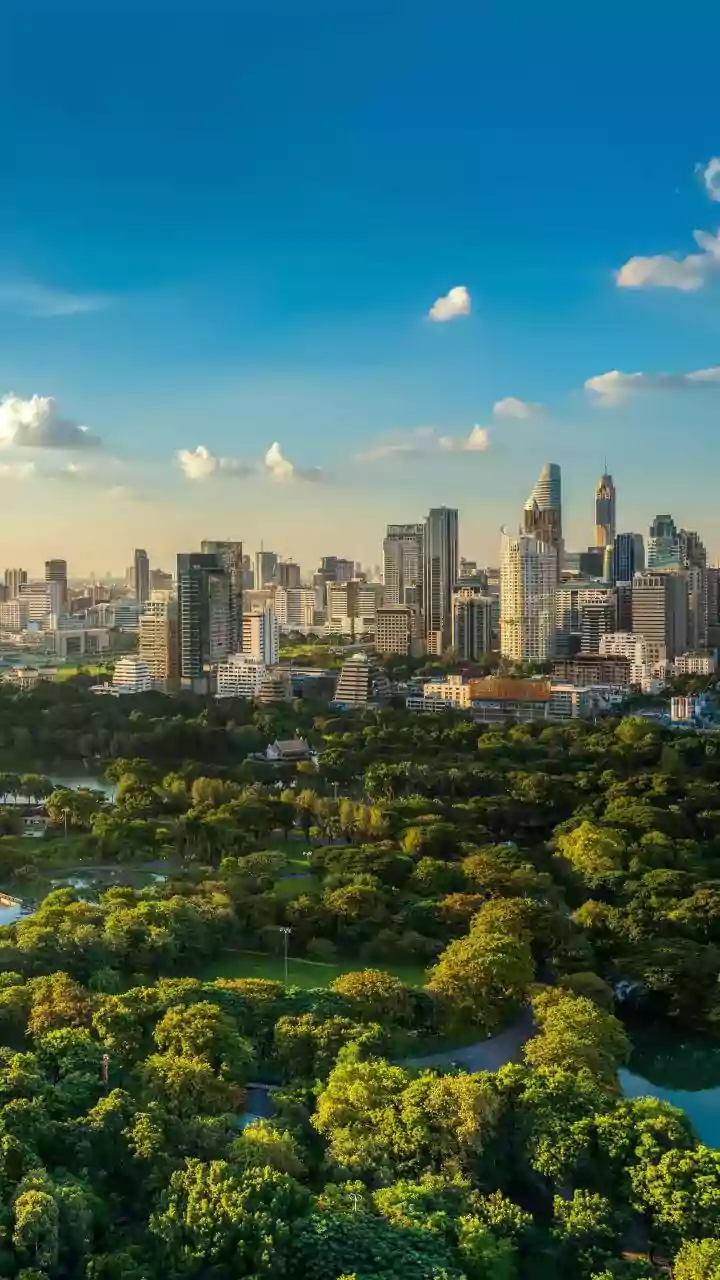 Clear skies and warm temperatures forecast for Surat this week
