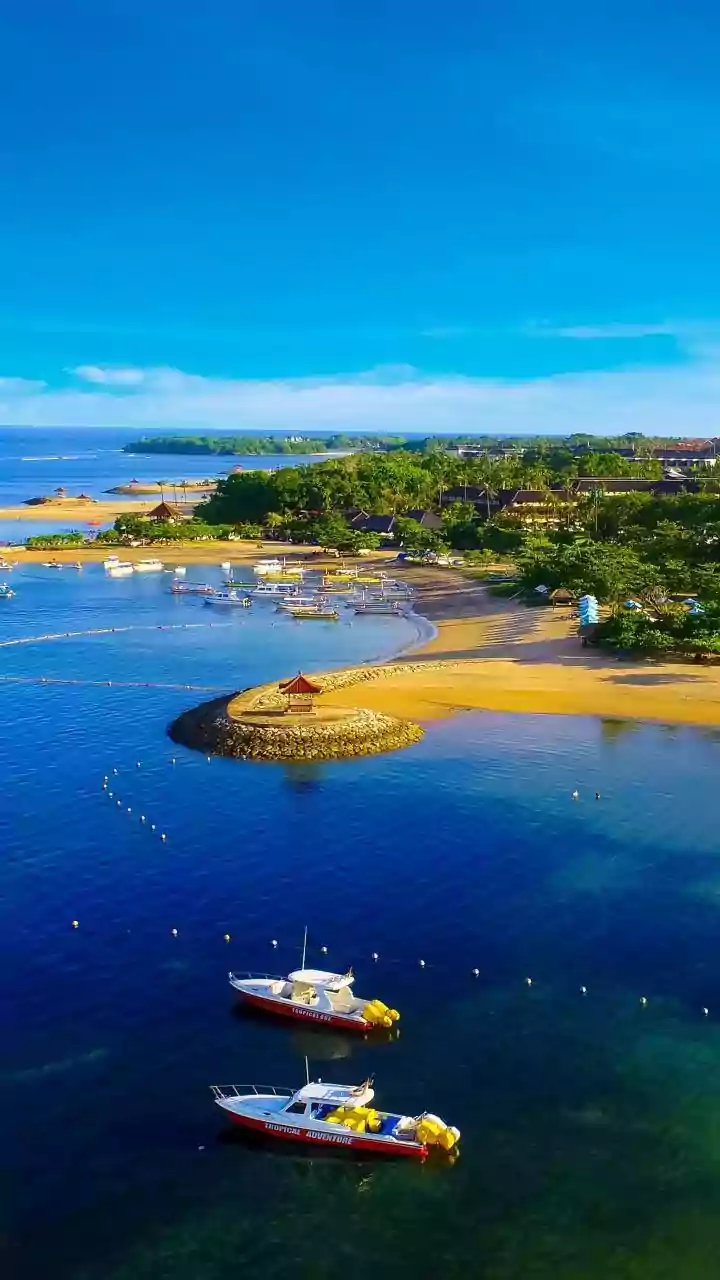Food Lovers Are Choosing Odisha's Coast For Authentic Regional Culinary Adventures