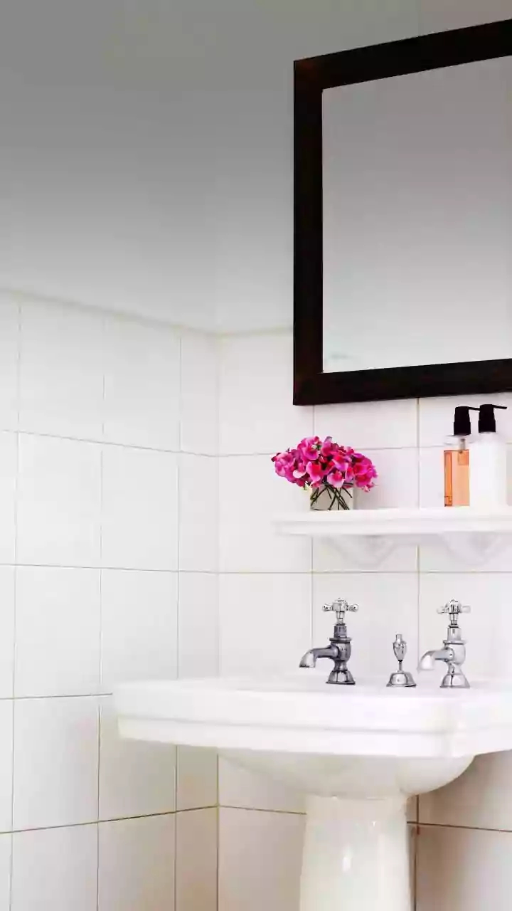 The Truth About Bathroom's 'Pink Mould': It's Bacteria, And Here's Why It Returns