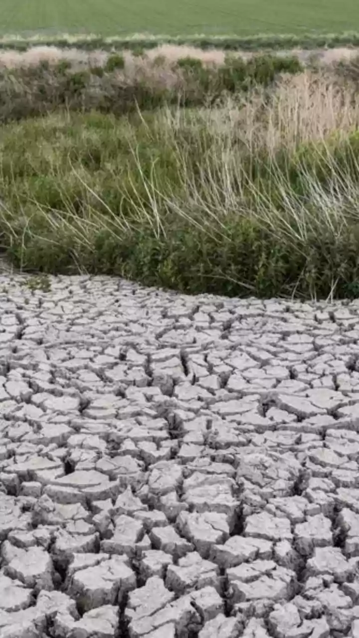 Climate Change & Mental Health: A Growing Crisis