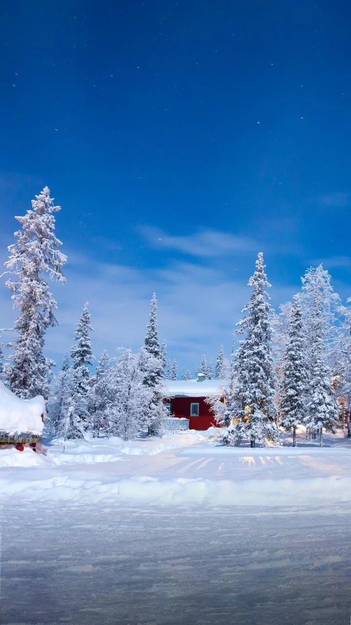 Santa Claus' Net Worth: Is Father Christmas A Billionaire?