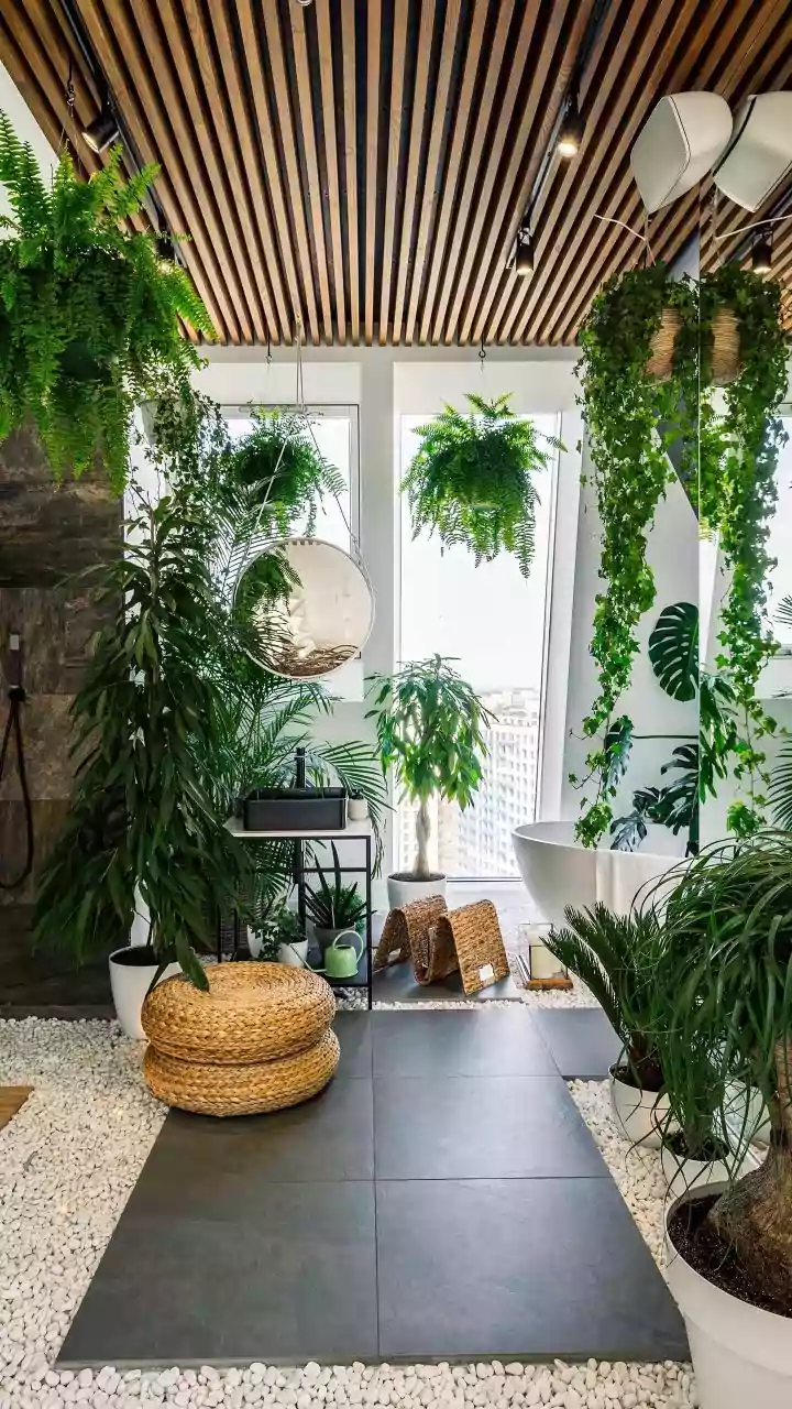 Oasis Bathrooms Are Turning Homes Into Calm Retreats