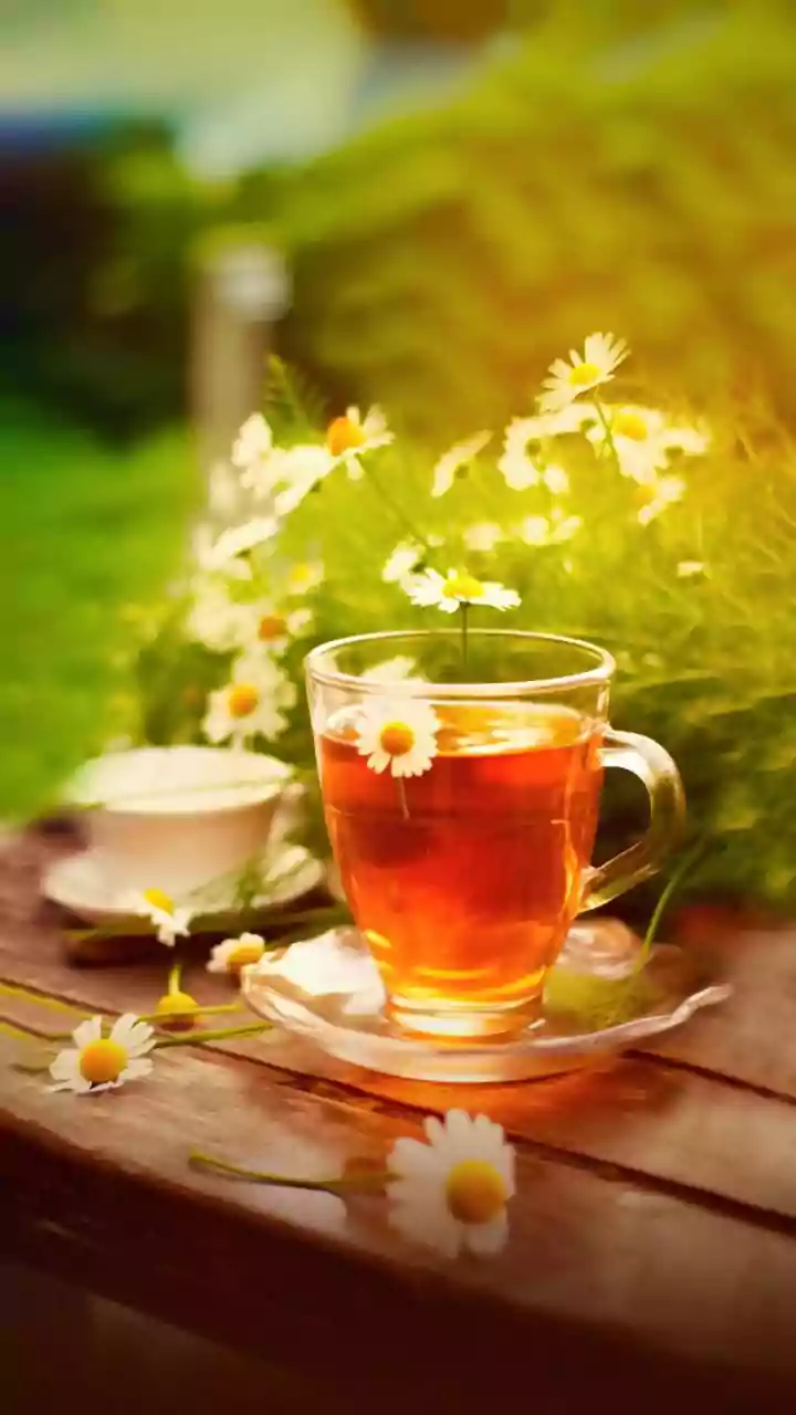 Five Steps to Host a Relaxed Garden Tea Party Including Wet-Weather Backup