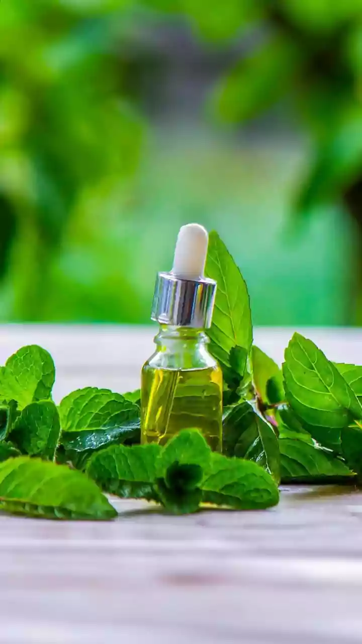 Upcycle kitchen herb stems into flavourful zero waste mint and coriander oils