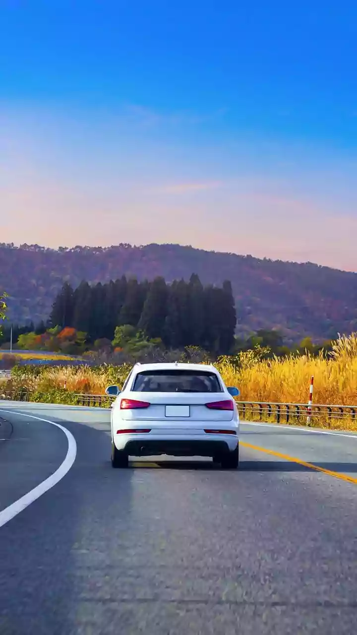 5 Diesel Cars to Consider Before They Vanish