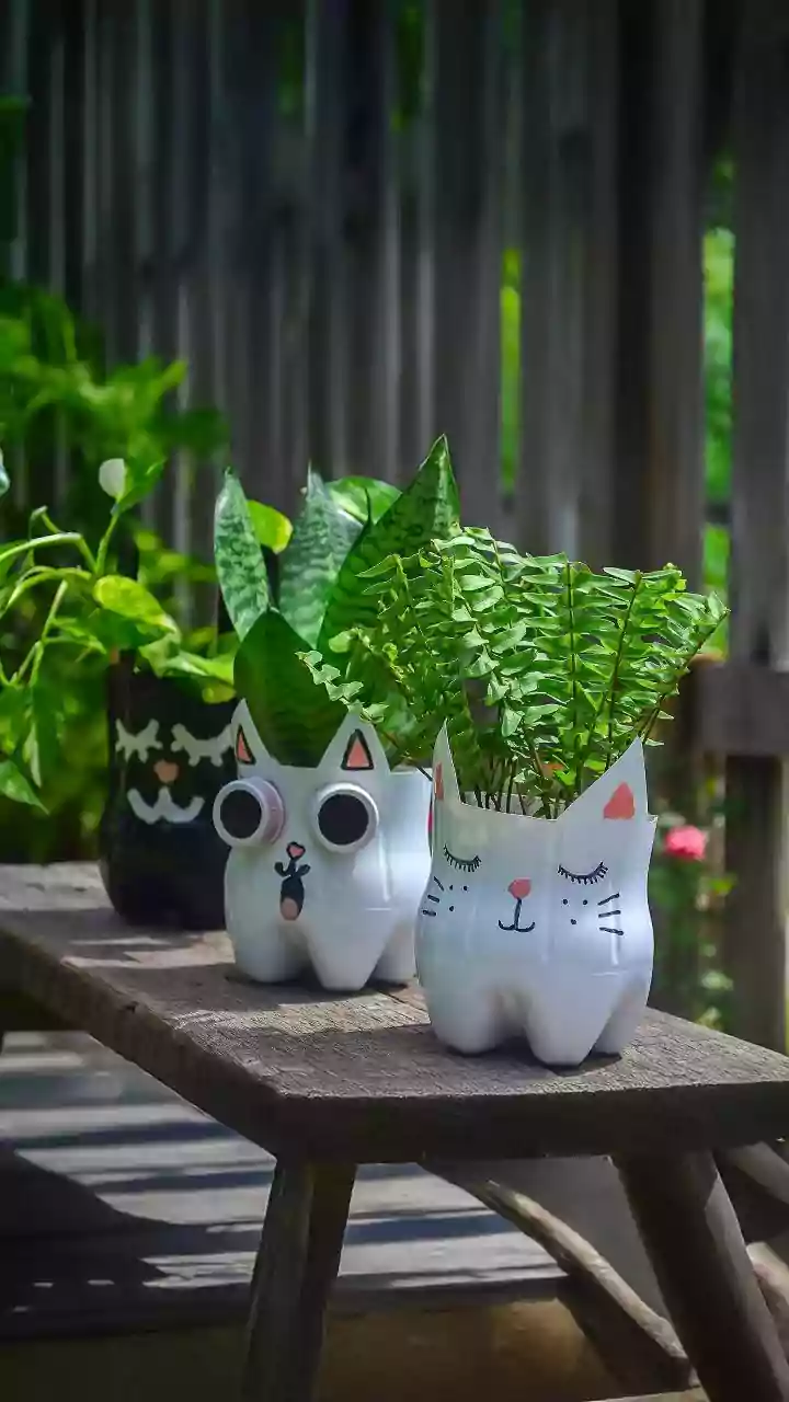 How to choose a pet-friendly planter
