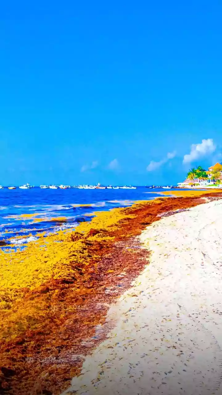 Why Everyone’s Ditching Beaches This June