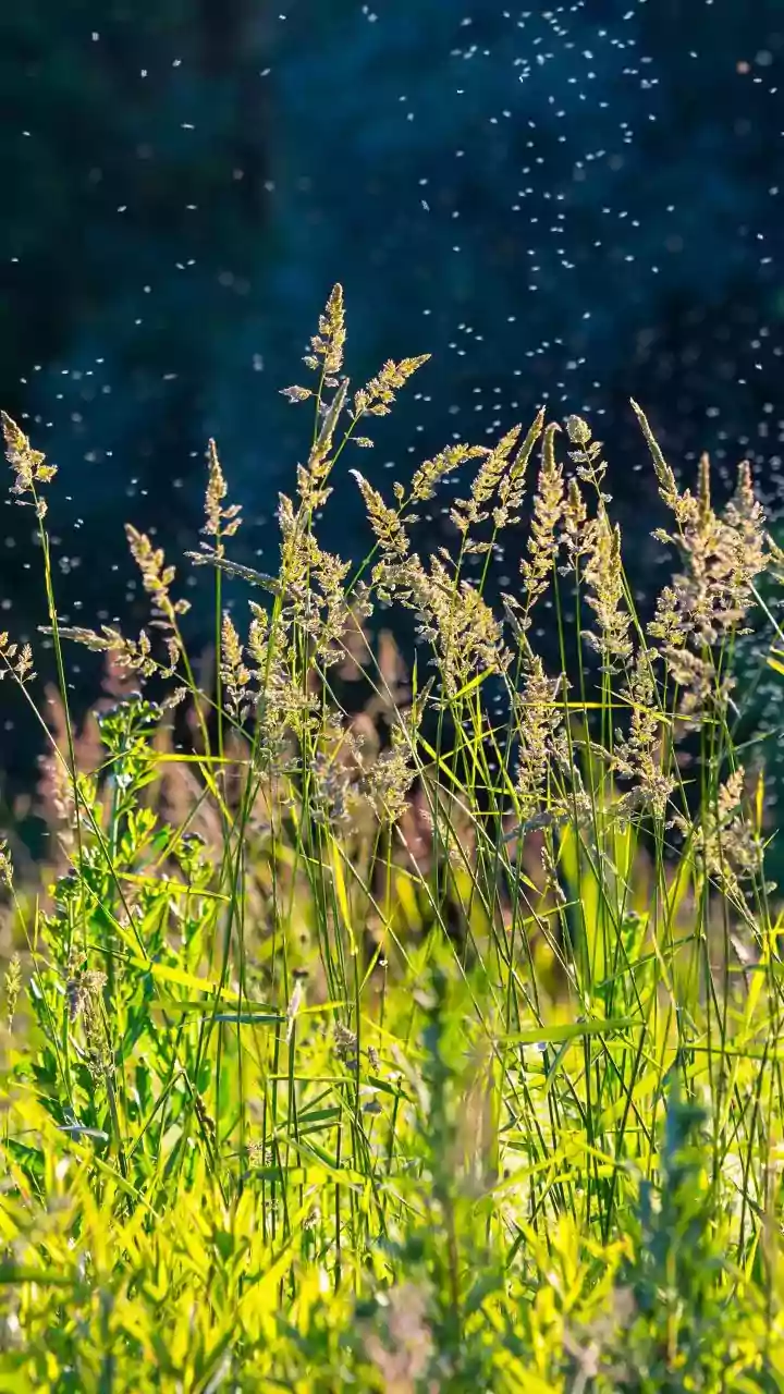 How Sunset Lighting Changes Help Shift Workers Support Natural Circadian Sleep Rhythms