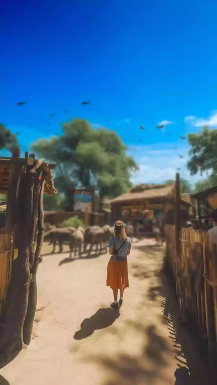 Empowering Rural India: Leadership Journeys