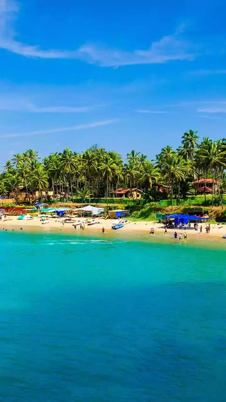 Unveiling India's Coastal Gems: A Traveler's Guide to Must-Visit Beaches