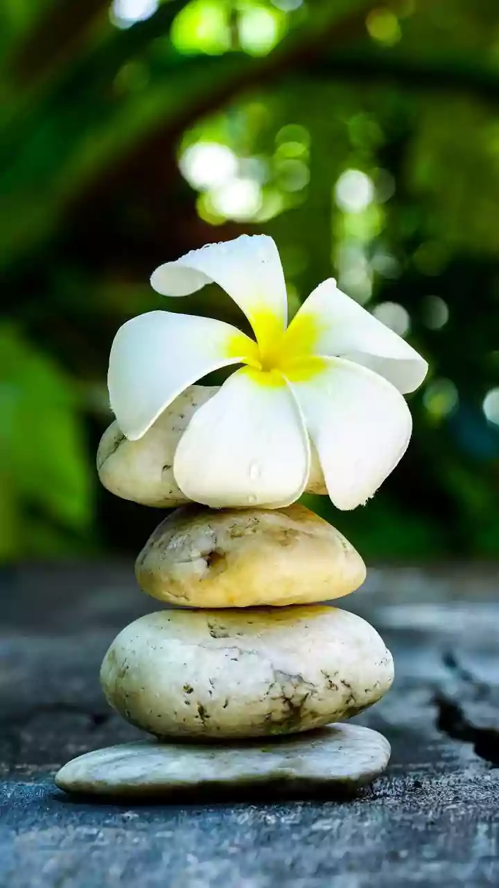 Stone Balancing As A Focus And Coordination Activity: Understanding Outdoor Activity Without The Hype