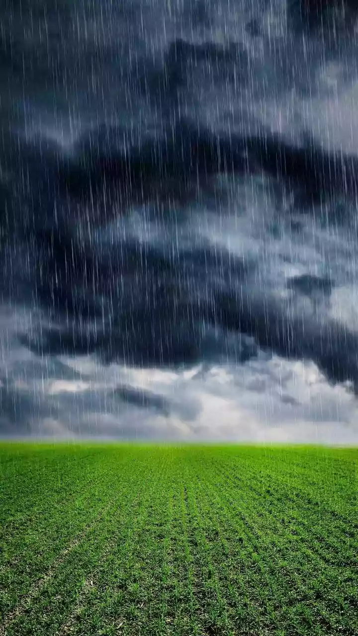 Soybean and cotton sowing concerns: how the early monsoon affects Madhya Pradesh and Maharashtra farmers