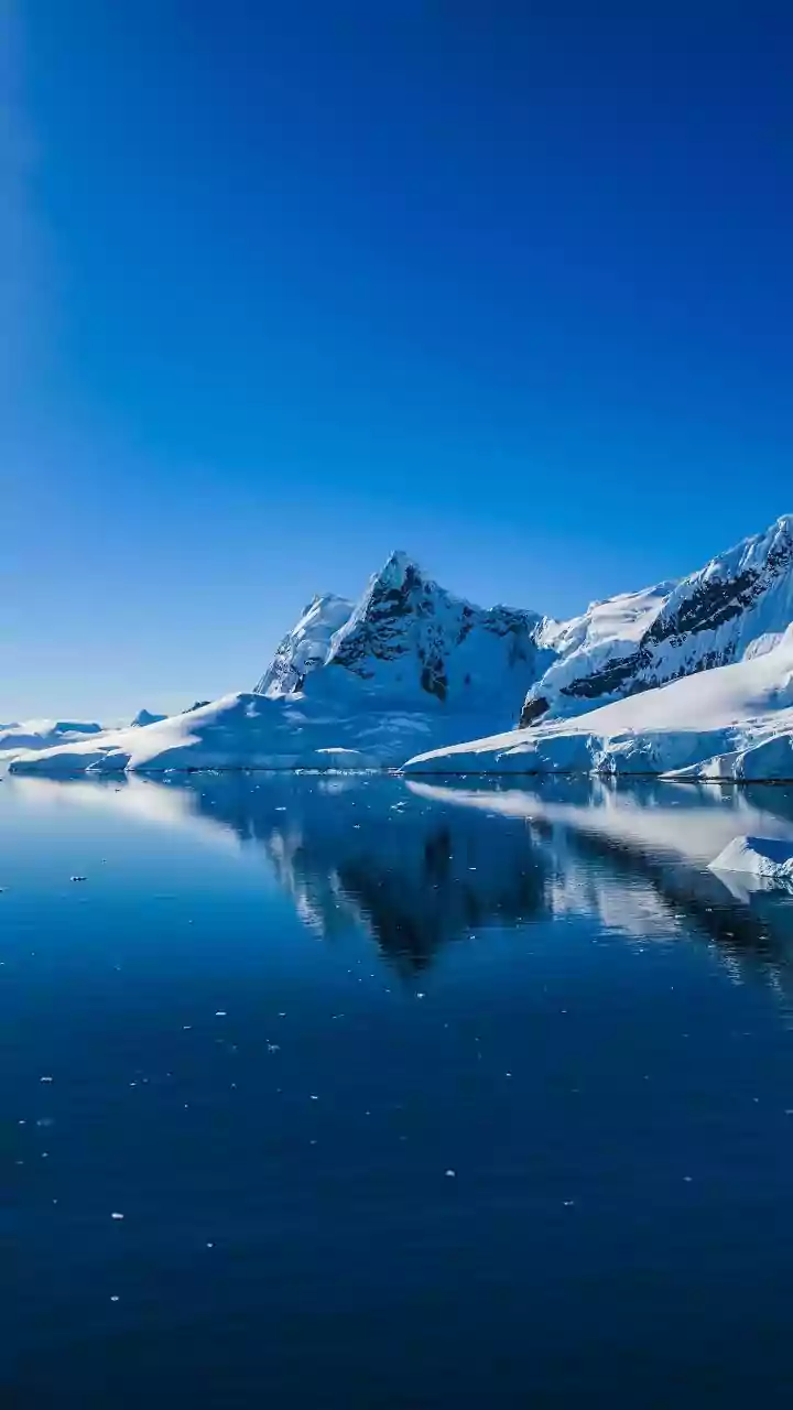 Como bactérias da Antártica podem ajudar a reverter o envelhecimento