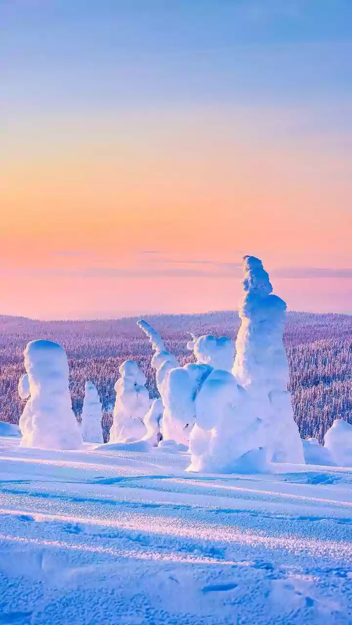 10 Surprising Snow Facts: Beyond the Flake!