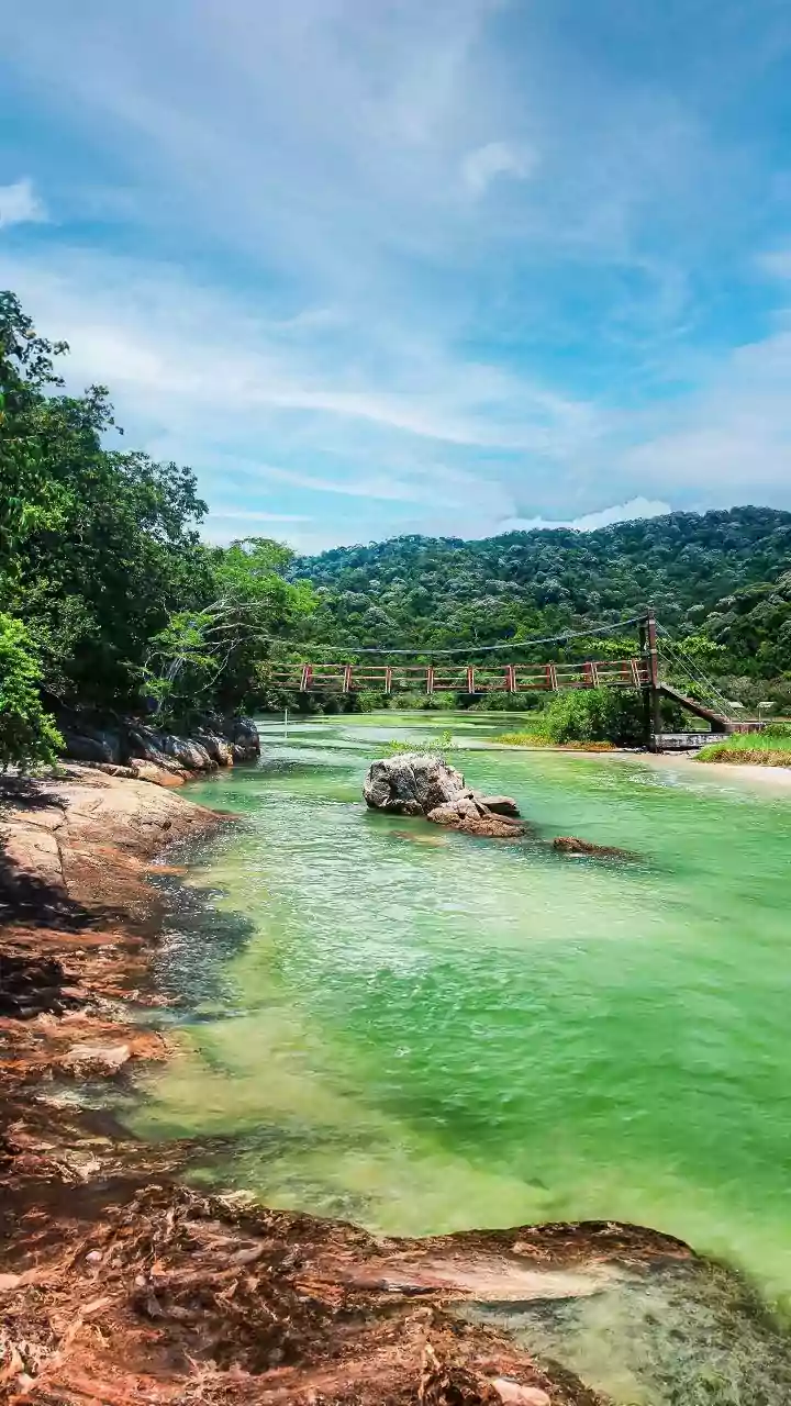 Why Scenic Rishikesh Riverfront Cafes Keep Remote Digital Creators Connected To Global Clients