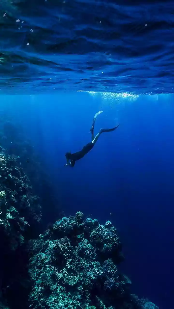 If you're into free diving, then this is for you
