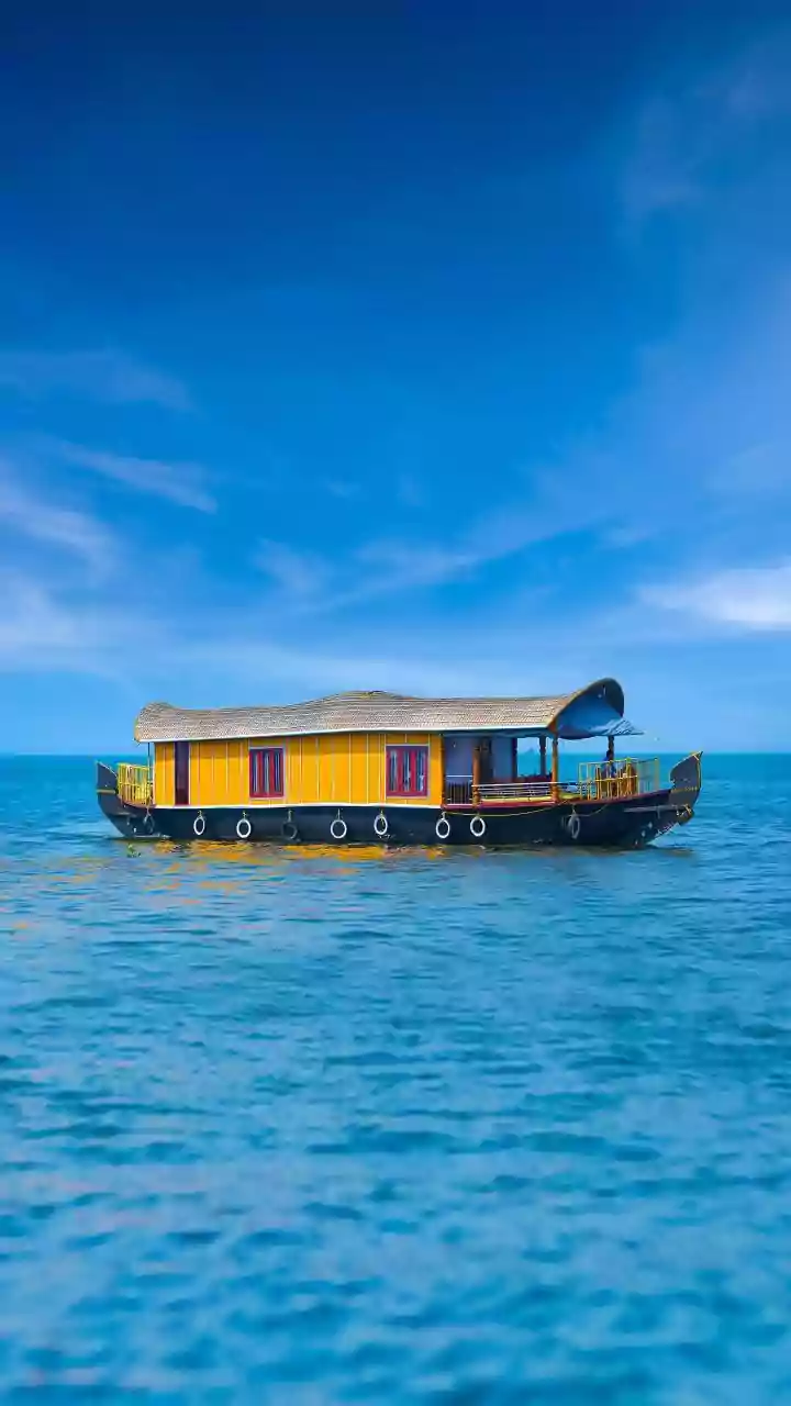 Chilika Dolphin Boat Trips Combine Lagoon Landscapes with Patient Wildlife Observation