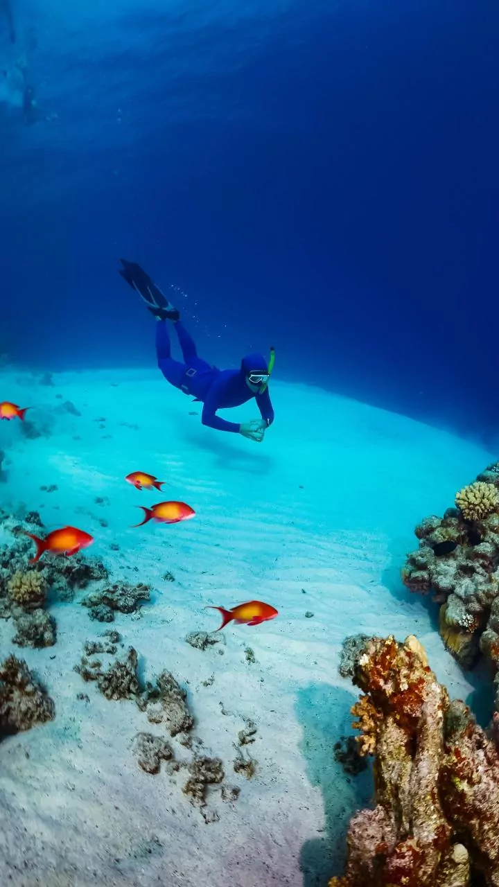 Dive into India's Underwater Wonders: 7 Spectacular Scuba Spots Beyond the Andamans