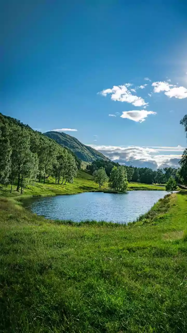 William Wordsworth's Wisdom: The Enduring Value of Small Acts