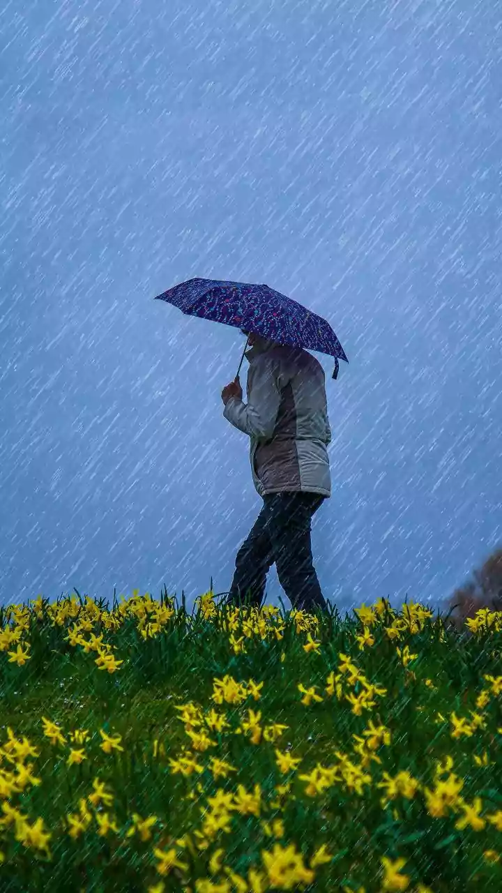 India's Weather Explained: The El Niño-Monsoon Connection
