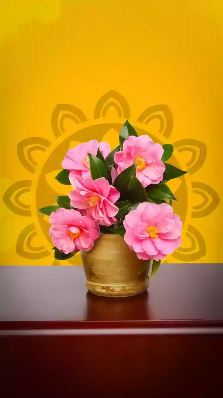 How To Choose A Pookkalam Size That Matches Your Flower Budget