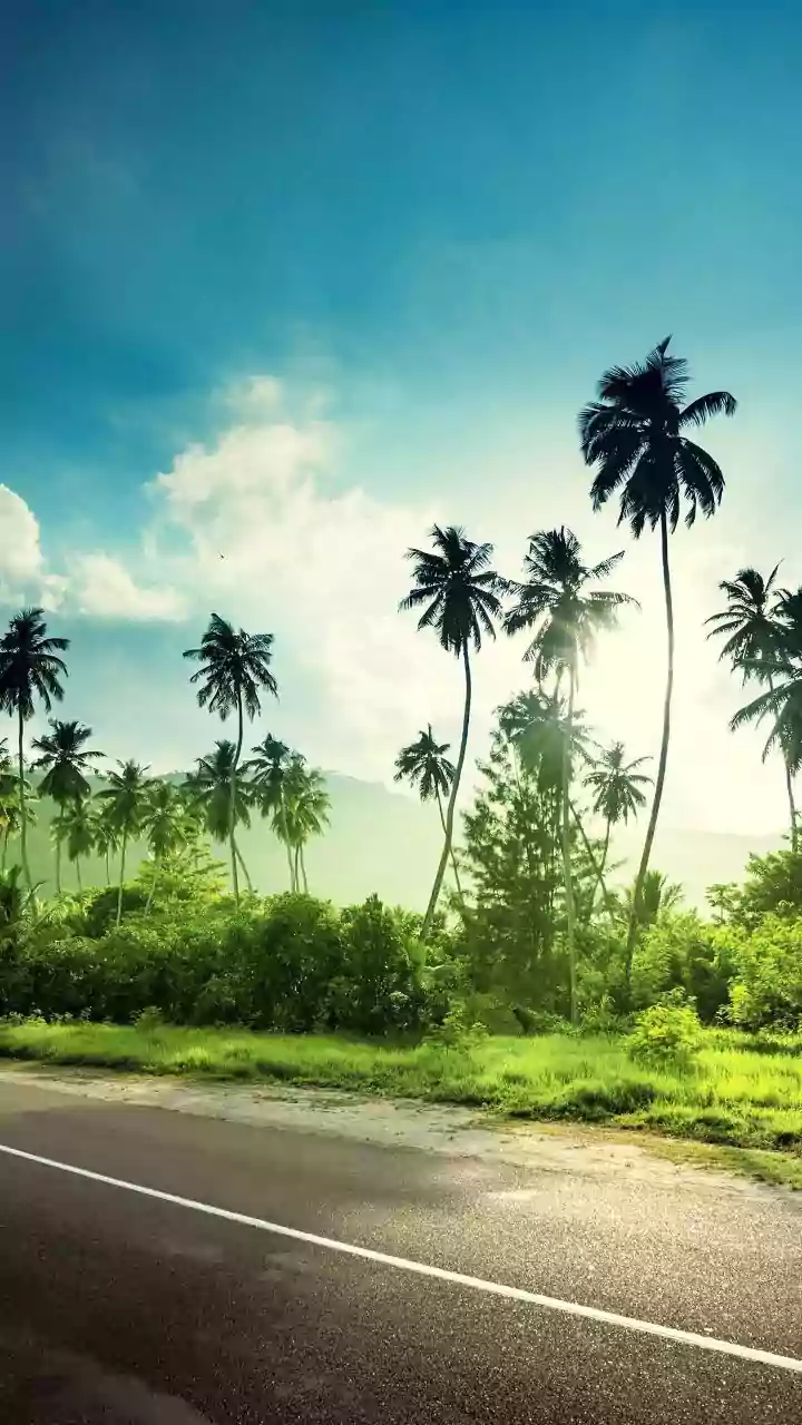 Why Post-Monsoon Is The Best Time For Scenic Coastal Road Trips Near Mumbai Highways