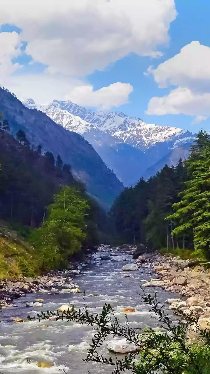 Harela's Sapling Drive is mobilising communities for one of India's biggest plantation drives