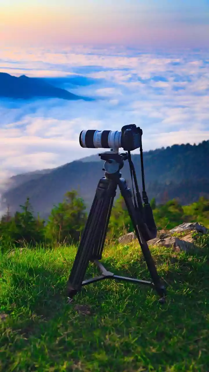 What Local Park Rules Govern Photography Equipment Usage On November Wildlife Safaris In India