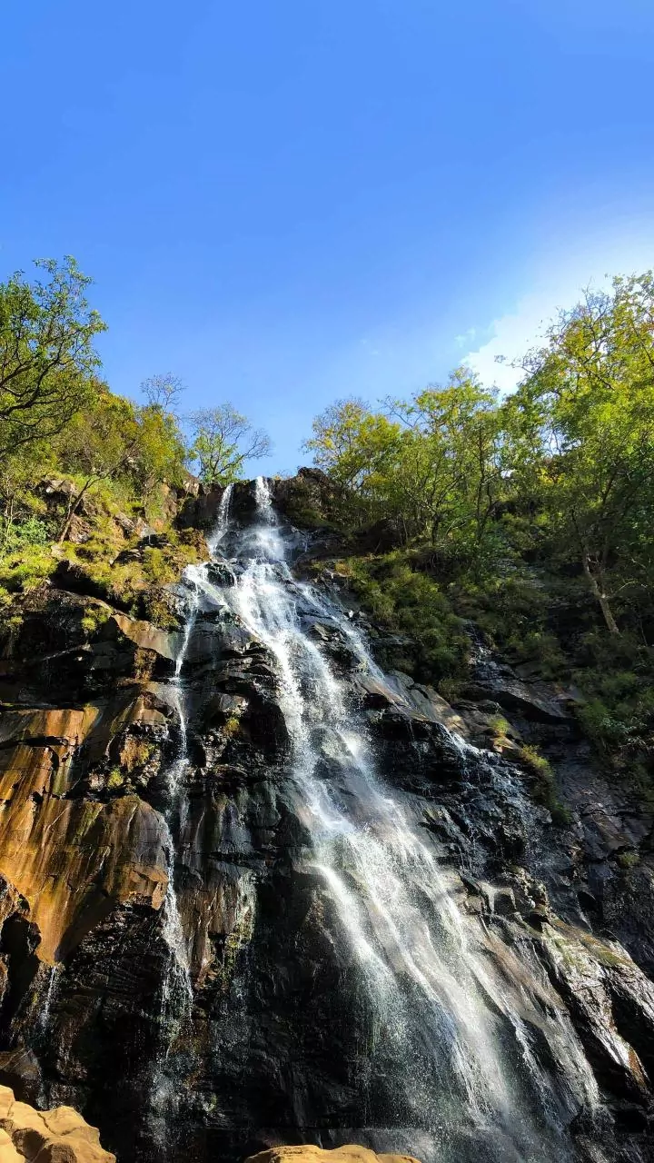 Nature Tourism Picks Up Across Maharashtra As Waterfalls Start Flowing
