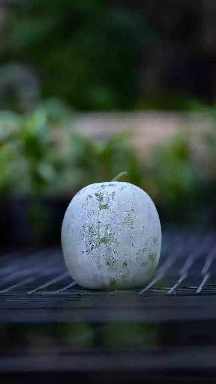 5 surprising ways to enjoy winter melon