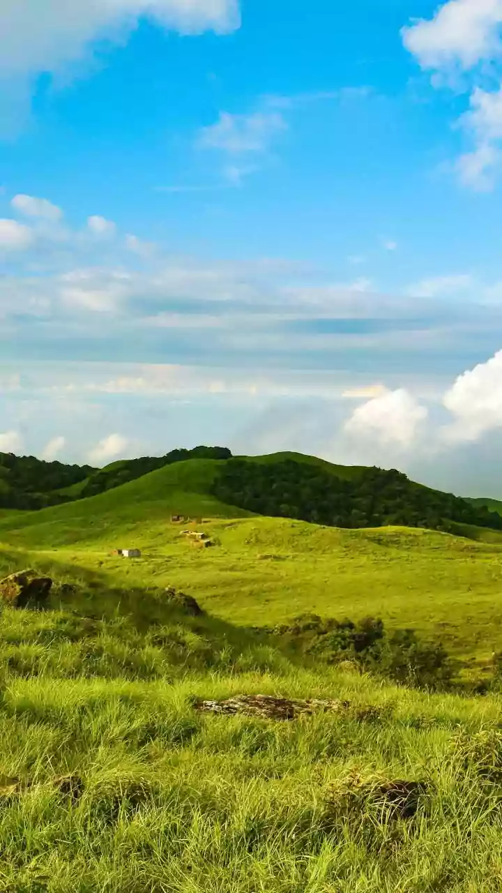 How Meghalaya Remote Work Havens Offer Affordable Rainy Season Escapes Daily