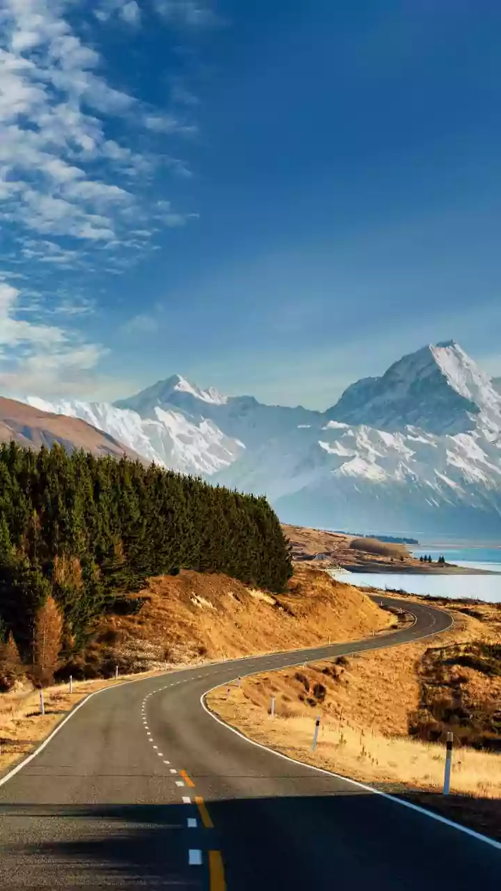 Adventure Graduates Swear By New Zealand Shared Campervan Road Trips