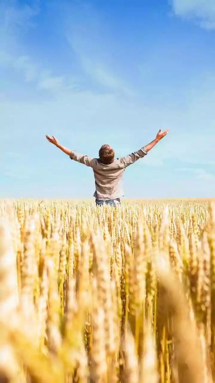Financial Freedom In Early 20s: Lock In Low Term Insurance Premiums Now