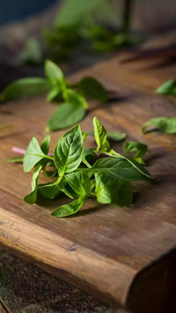 Growing Herbs At Home Can Make Everyday Cooking More Convenient