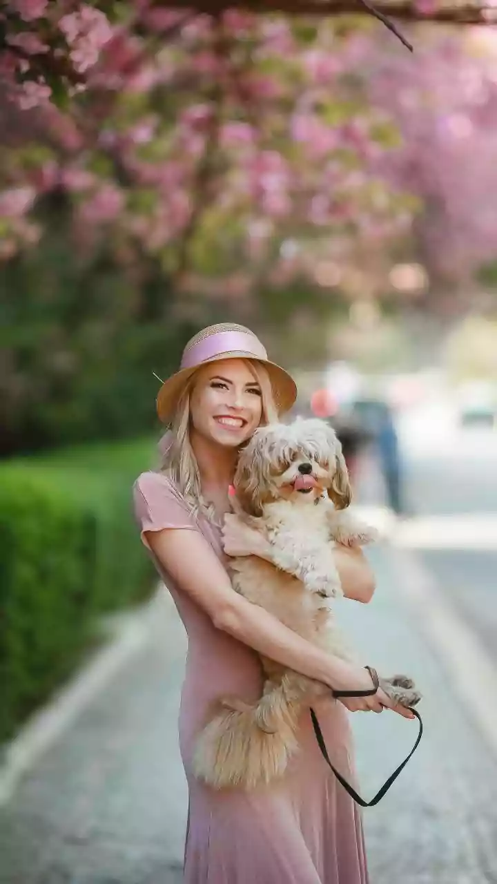 Pet Owners Should Map the Fastest Route to Urgent Care