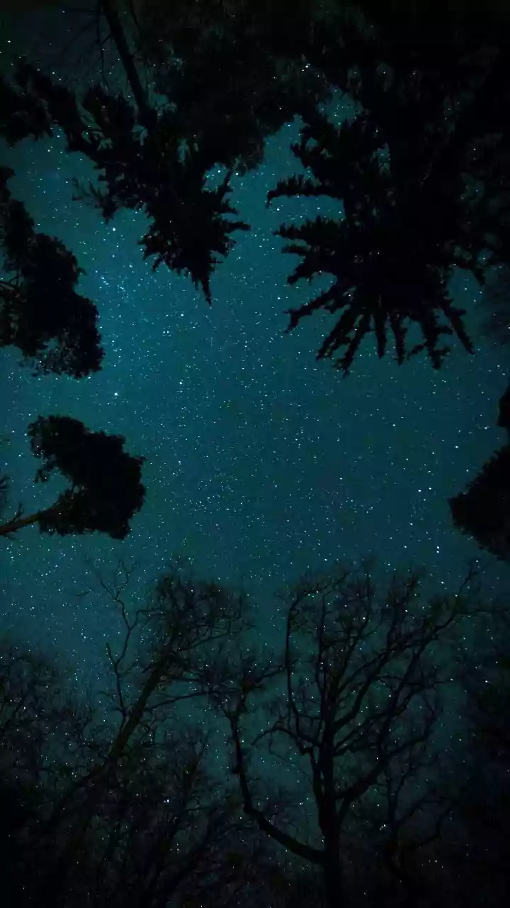 Dark Adaptation Can Do More than a New Telescope for Beginners